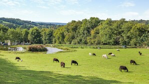 A rural landscape with a pond, green fields, and a forested hill in the background.