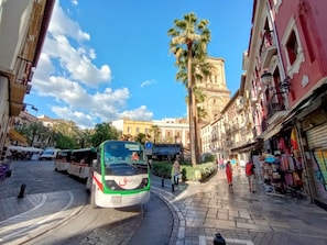 Un autobus de tourisme est garé dans une rue pavée, avec des bâtiments et des palmiers en arrière-plan.
