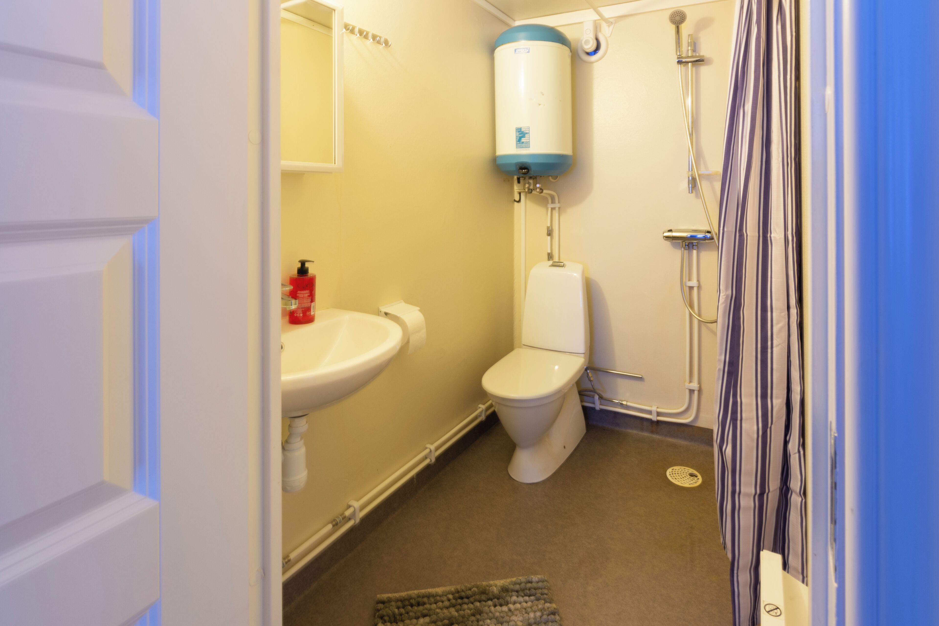 Un baño con inodoro, lavabo, ducha y calentador de agua.