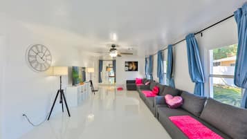 Smart TV, fireplace, books