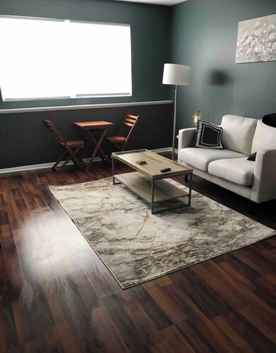 Renovated Apartment In Ottawa