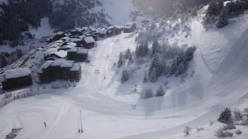 Sne- og skisport