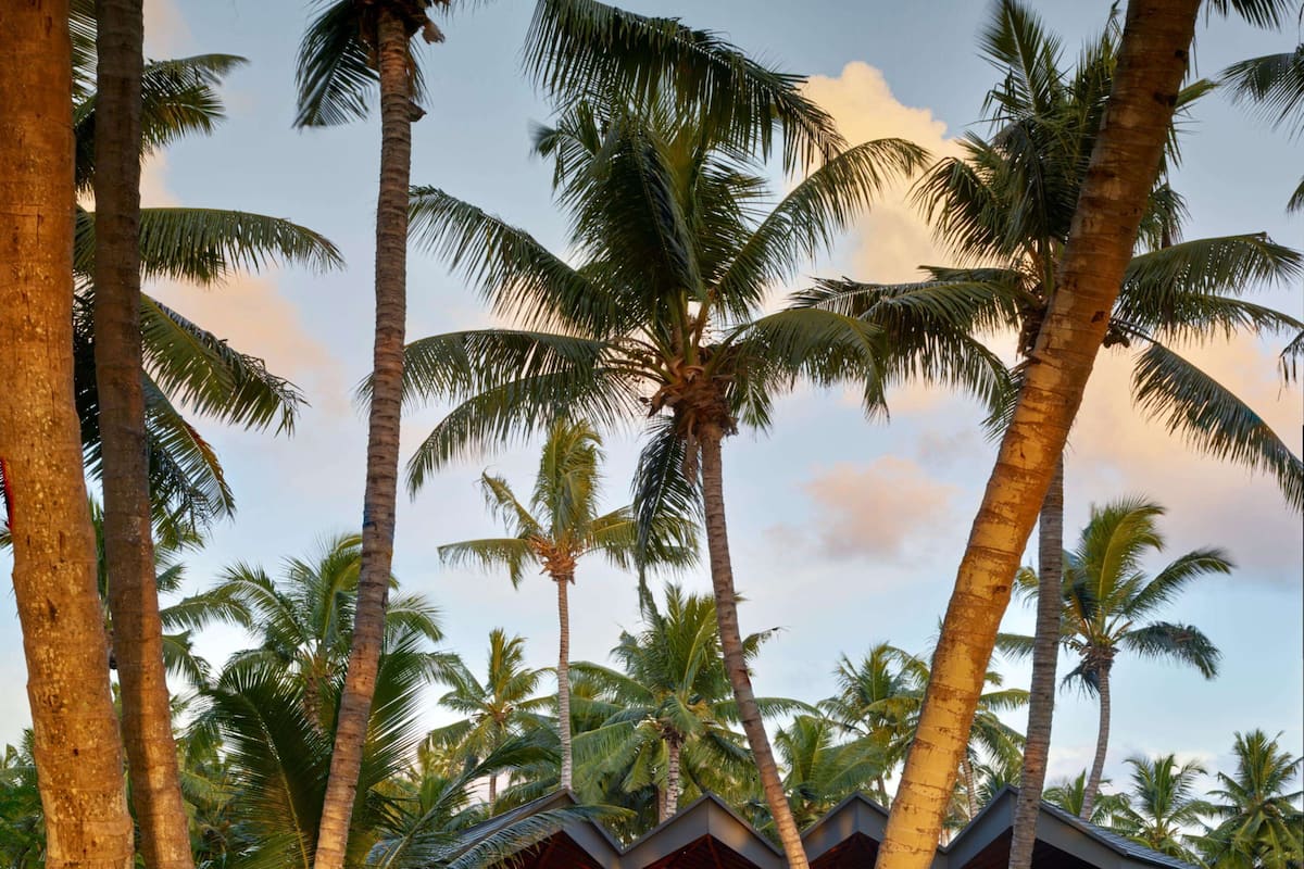 Vila Grand, 1 Tempat Tidur King (Hawksbill) | Pemandangan taman