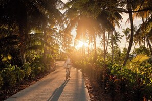 A pathway lined with palm trees and greenery, leading towards a sunset. - Waldorf Astoria Seychelles Platte Island (Platte Island)