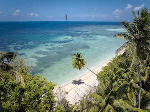 Una playa con aguas turquesas cristalinas, una orilla arenosa y densa vegetación tropical.