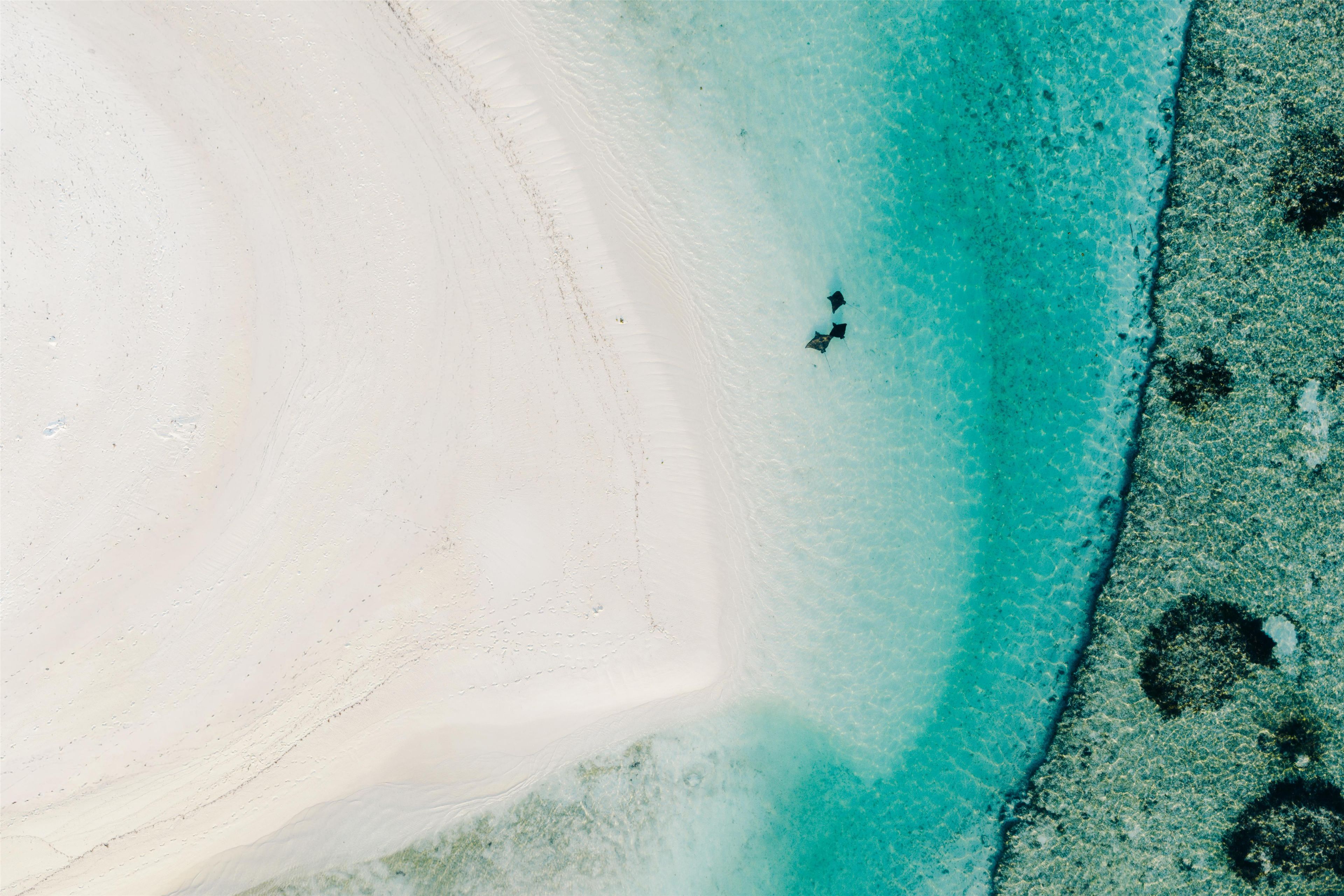 An aerial view of a beach with clear turquoise waters and white sand.