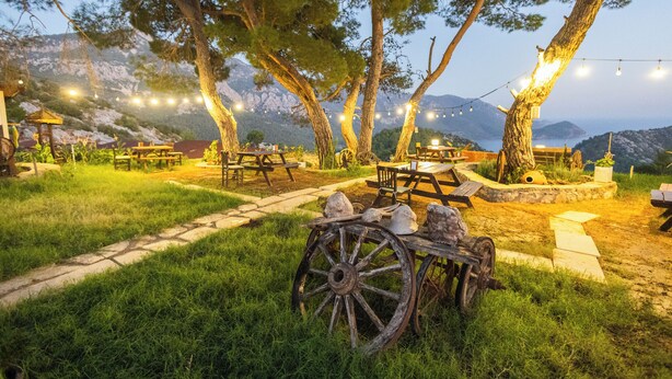 An outdoor dining area with picnic tables and string lights, surrounded by trees and a mountainous backdrop. - Kadir's Eco Life (Kumluca)