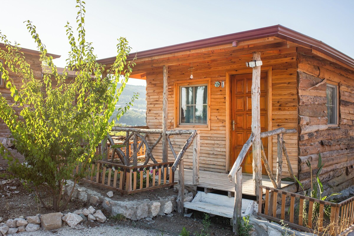 A rustic log cabin with a wooden porch, a stone pathway, and a small tree in the foreground.