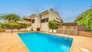 A swimming pool with a stone wall and a palm tree in the background.