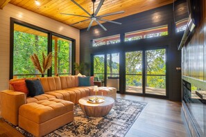 Smart TV, fireplace, music library