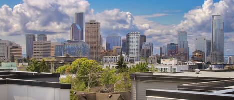 الإطلالة من المنشأة