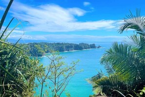 Unclassified image, 2 of 21, button - Forest View, 8 Min to Manuel Antonio Beach #4 (Quepos)