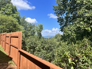 Property grounds - Pet-Friendly! Blue Ridge View Cottage  (Asheville)