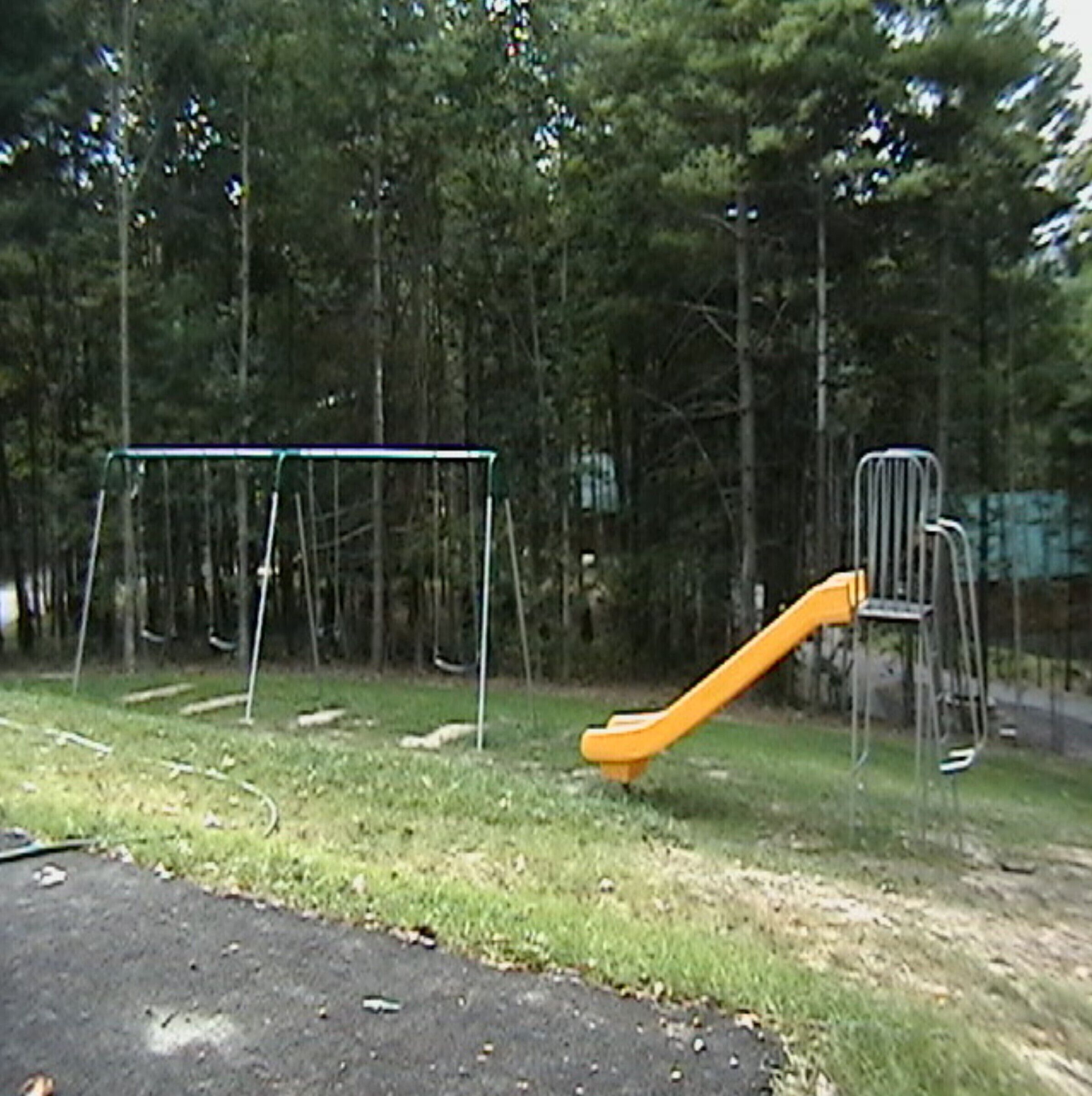 A playground with a slide and swings, surrounded by trees.