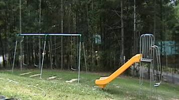 A playground with a slide and swings, surrounded by trees.