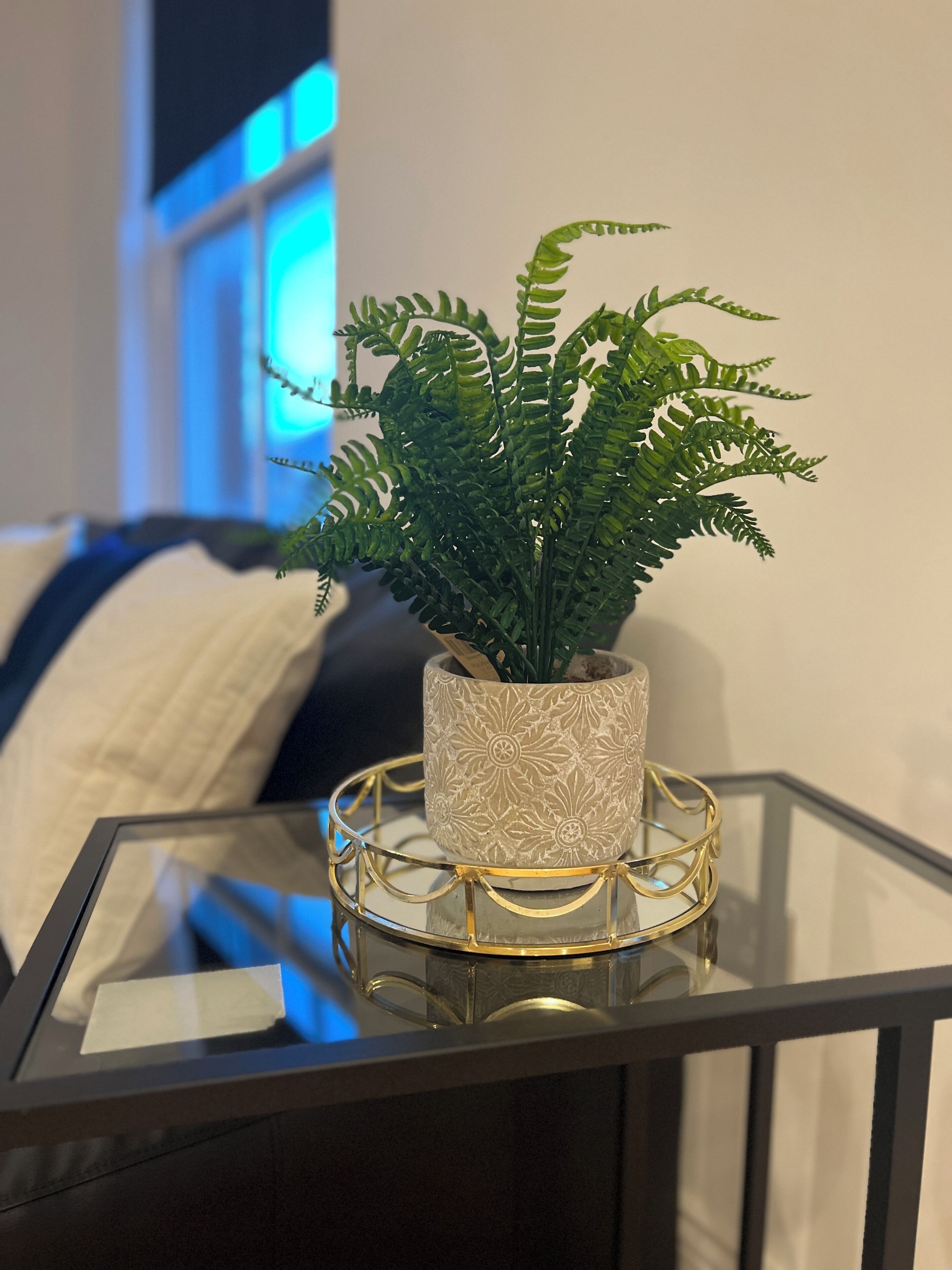 A potted fern on a glass table with a decorative metal base.