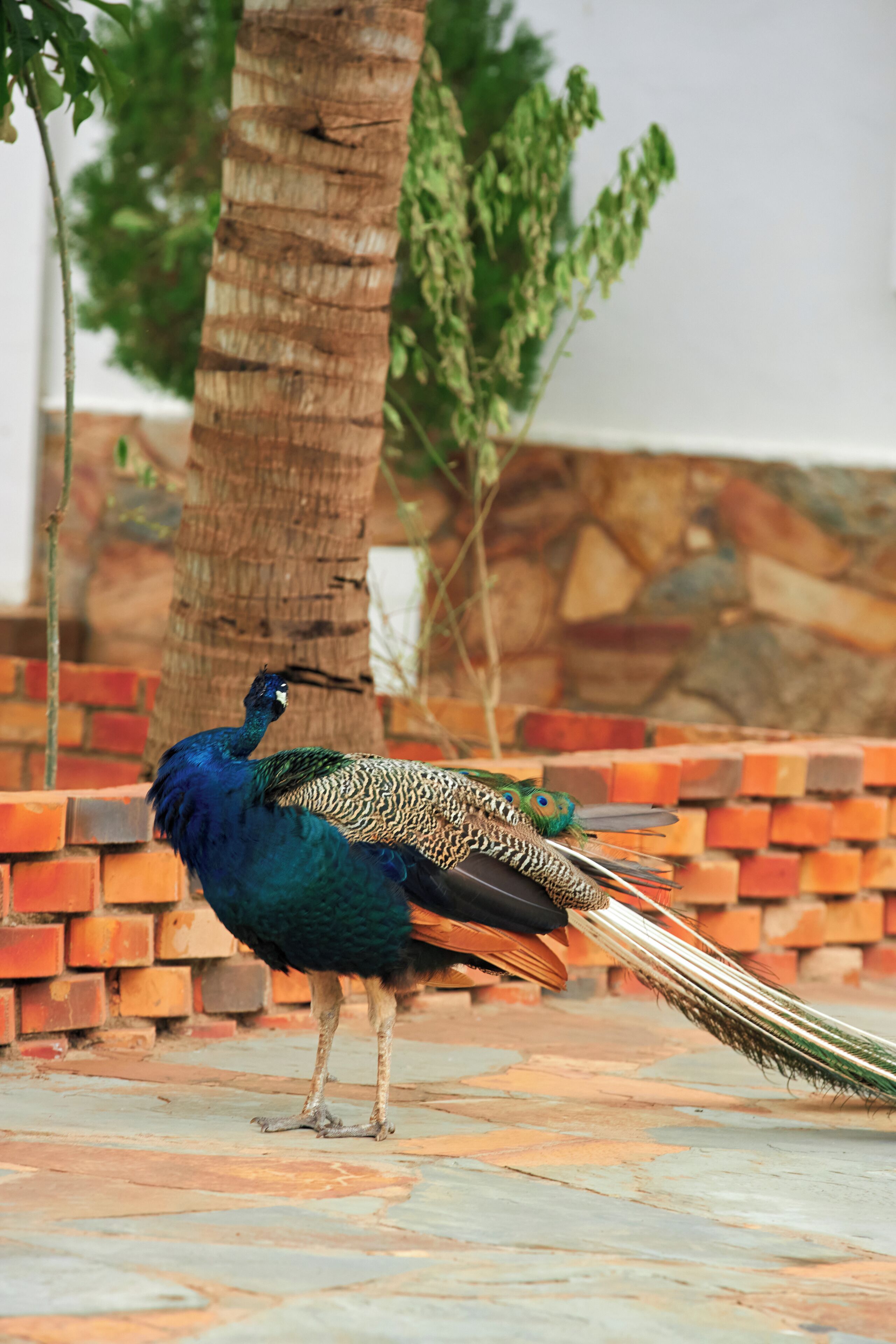 Foto - The Haven Boutique Hotel & Venue
