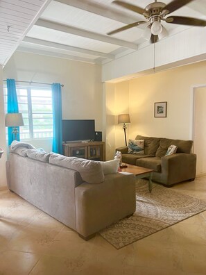 Smart-TV, DVD-spiller, bøker og filmbibliotek