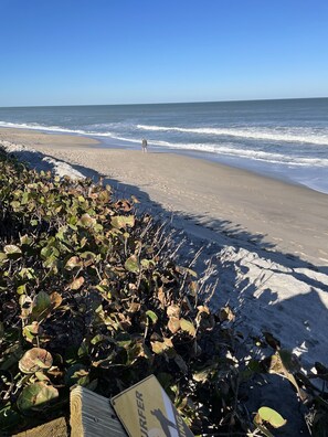 On the beach -   FLORIDA BEACH HOUSE RIGHT ON THE OCEAN - Spring and Summer discounts now! (Melbourne Beach)