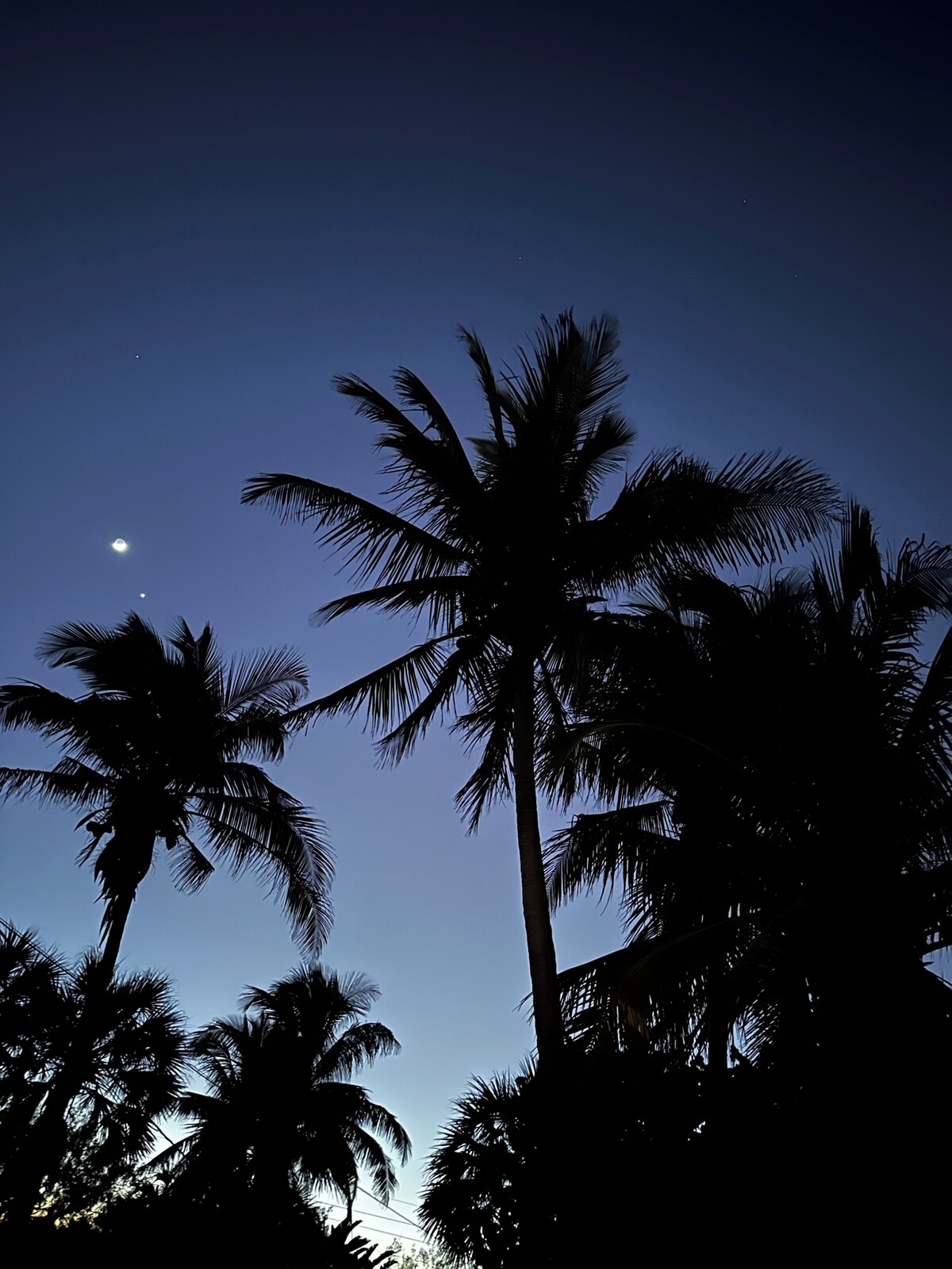 Imagen de perfil del propietario o de la propietaria