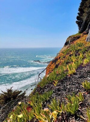 Camastros y toallas de playa