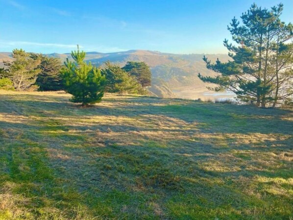 Un campo cubierto de césped con árboles dispersos y montañas a lo lejos.