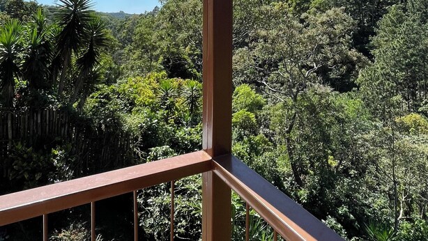 Een balkon met een metalen hekwerk met uitzicht op een dicht bos en een helderblauwe lucht.