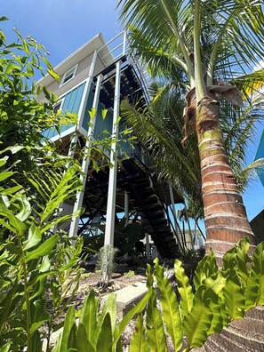 Jardines del alojamiento