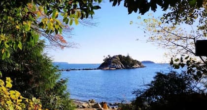 Burquitlam 1BR guest suite with fantastic view