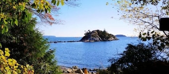 Burquitlam 1BR guest suite with fantastic view