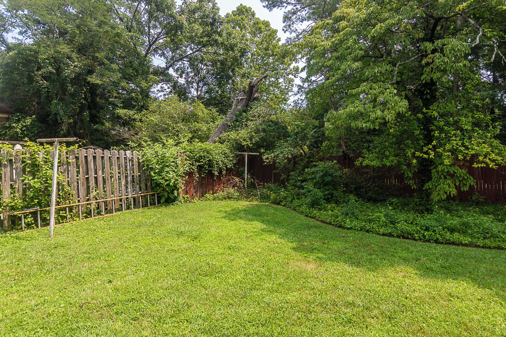 A well-maintained grassy yard with a wooden fence and dense foliage.