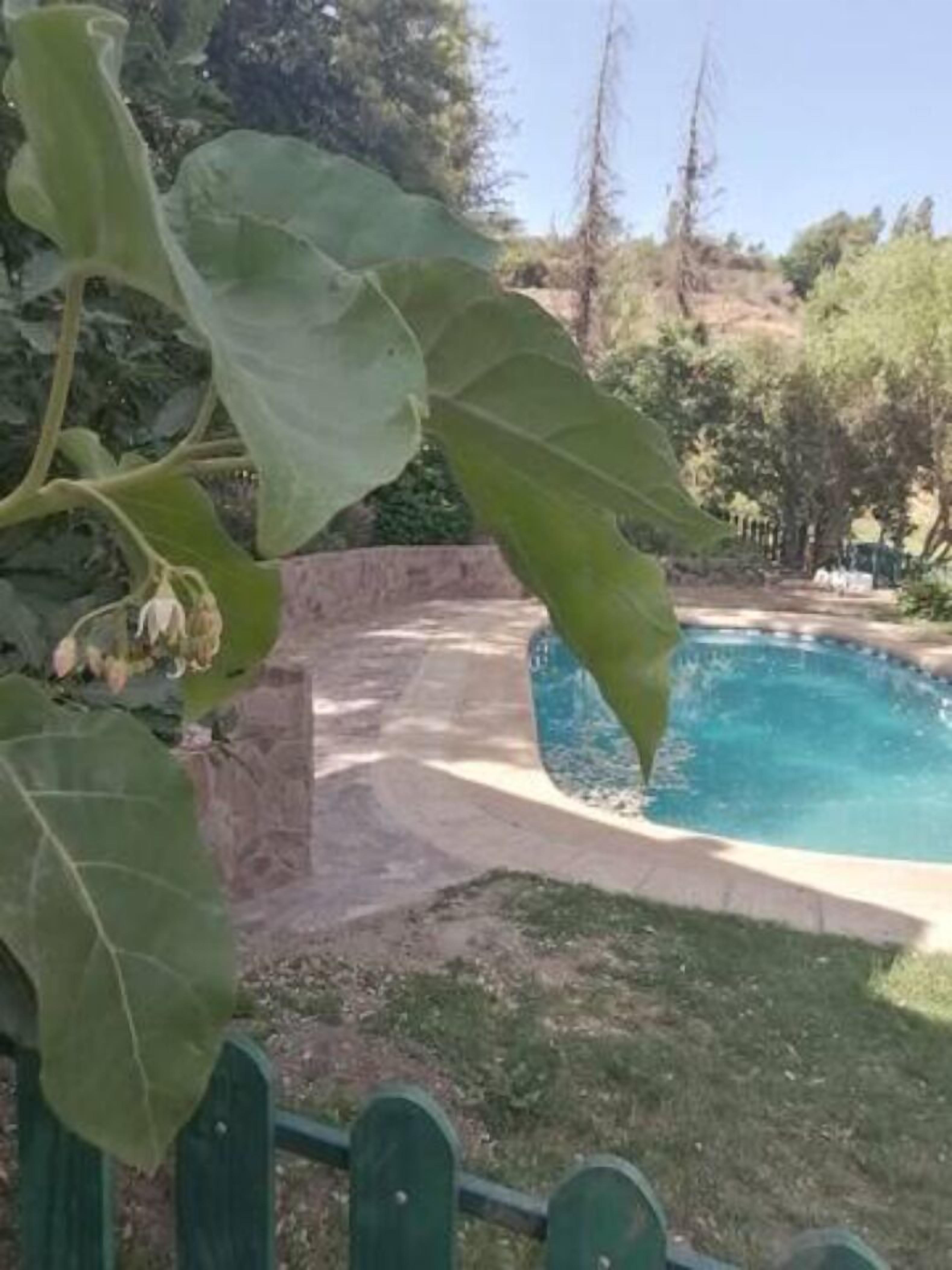 Alberca al aire libre por temporada 