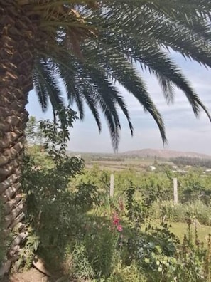 Kauden mukainen ulkouima-allas