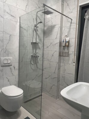 Regadera, secadora de cabello, bidet, toallas 