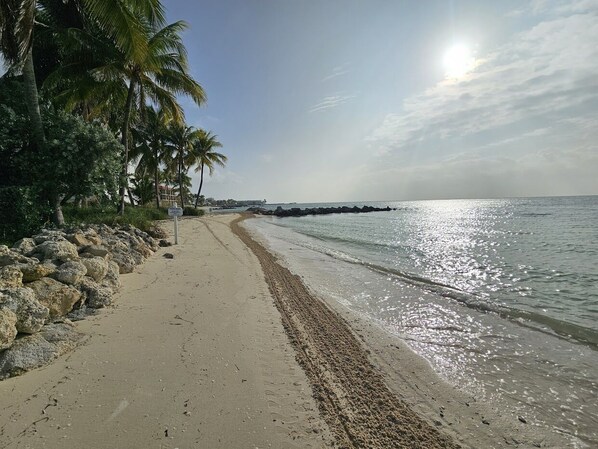 Sun-loungers, beach towels