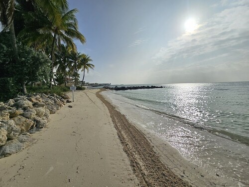 1st Fl Condo with a Private Sandy Beach on Atlantic Ocean & Pool - fully loaded!