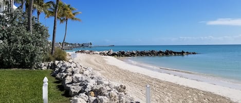 Sun-loungers, beach towels