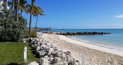 1st Fl Condo with a Private Sandy Beach on Atlantic Ocean & Pool - fully loaded!