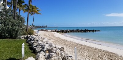 1st Fl Condo with a Private Sandy Beach on Atlantic Ocean & Pool - fully loaded!