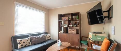 Televisión, reproductor de DVD y libros