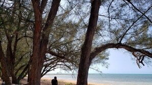 A beach scene with trees and a person sitting on the sand. - Boho- Baha Retreat  Pool  7 min Beach & Airport (Nassau)