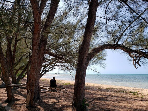 Beach nearby