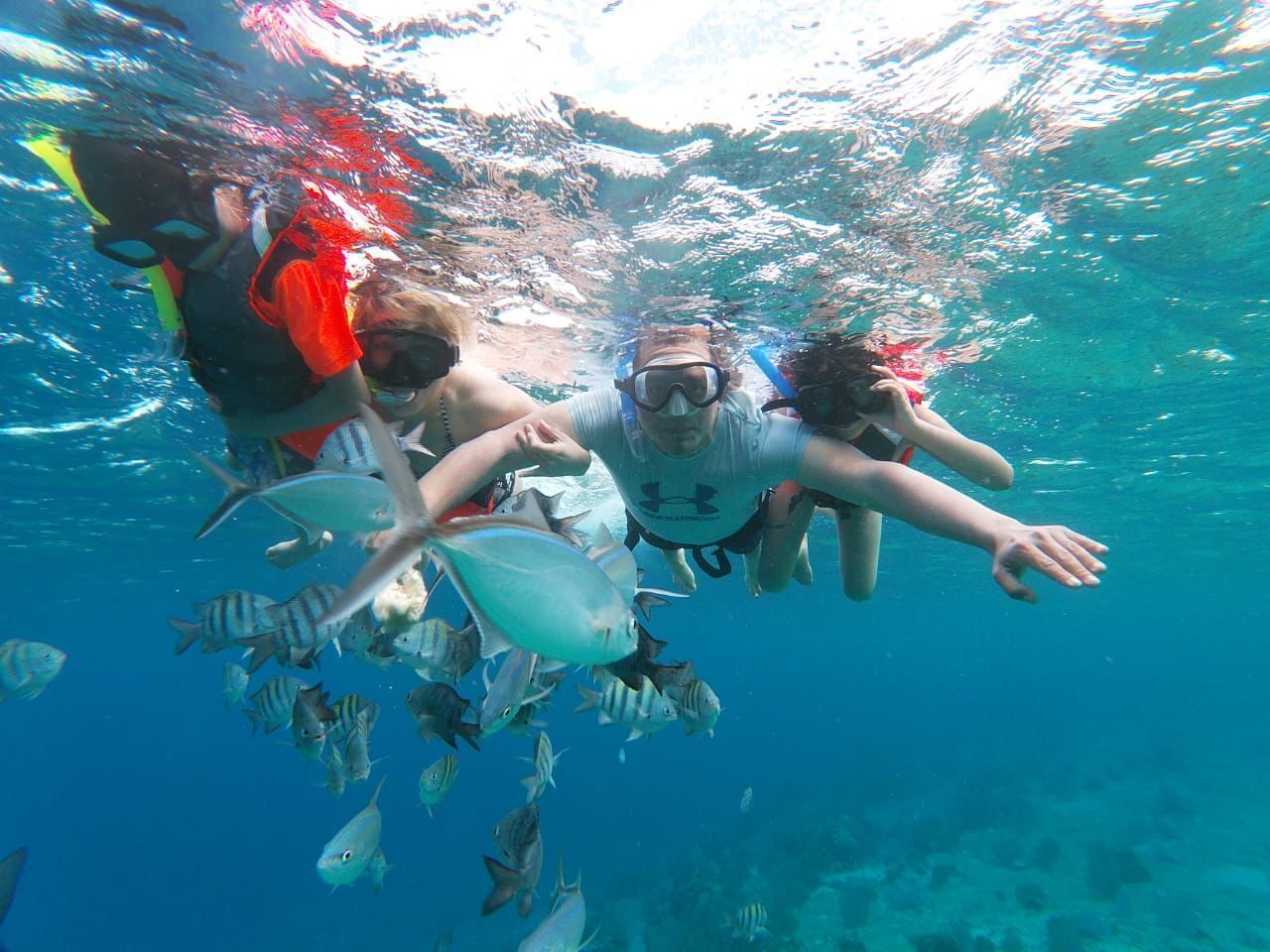A diver surrounded by a school of fish, indicating an underwater environment.