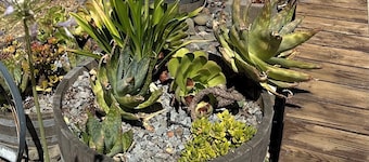 Private Cabin with Views on 16 Acre Estate