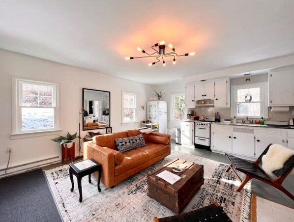 Smart TV, fireplace, books