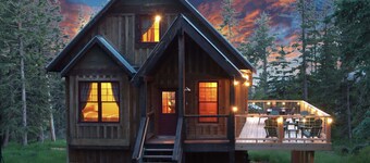 Spa Arcade ATV Trails Dog Friendly