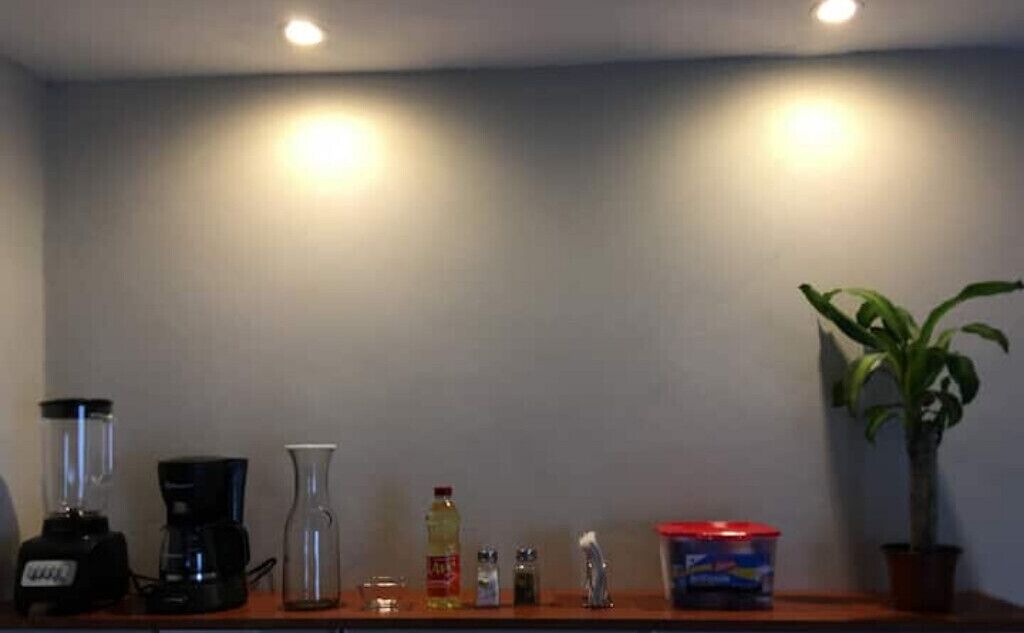 Uma bancada de cozinha com um liquidificador, cafeteira, copo, frascos de tempero e uma planta em vaso.