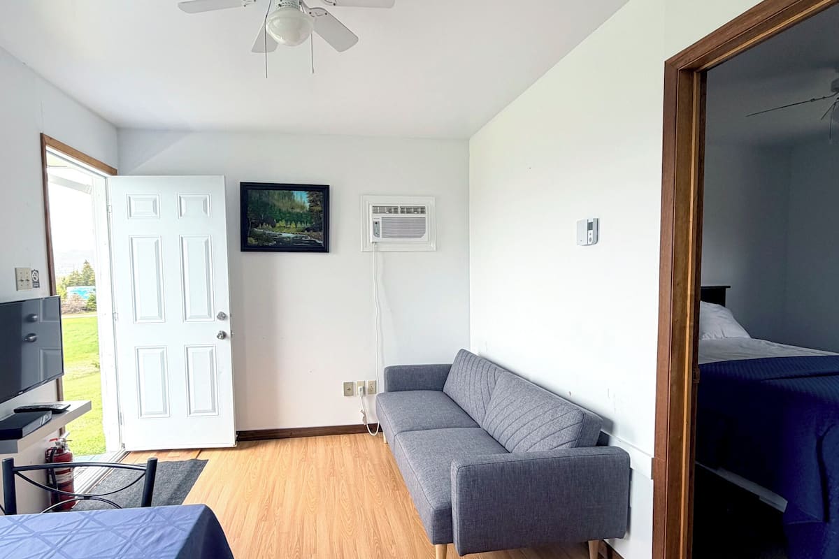 Una habitación con un sofá gris, una cama con cubierta azul, un ventilador de techo, un equipo de aire acondicionado y un cuadro en la pared.