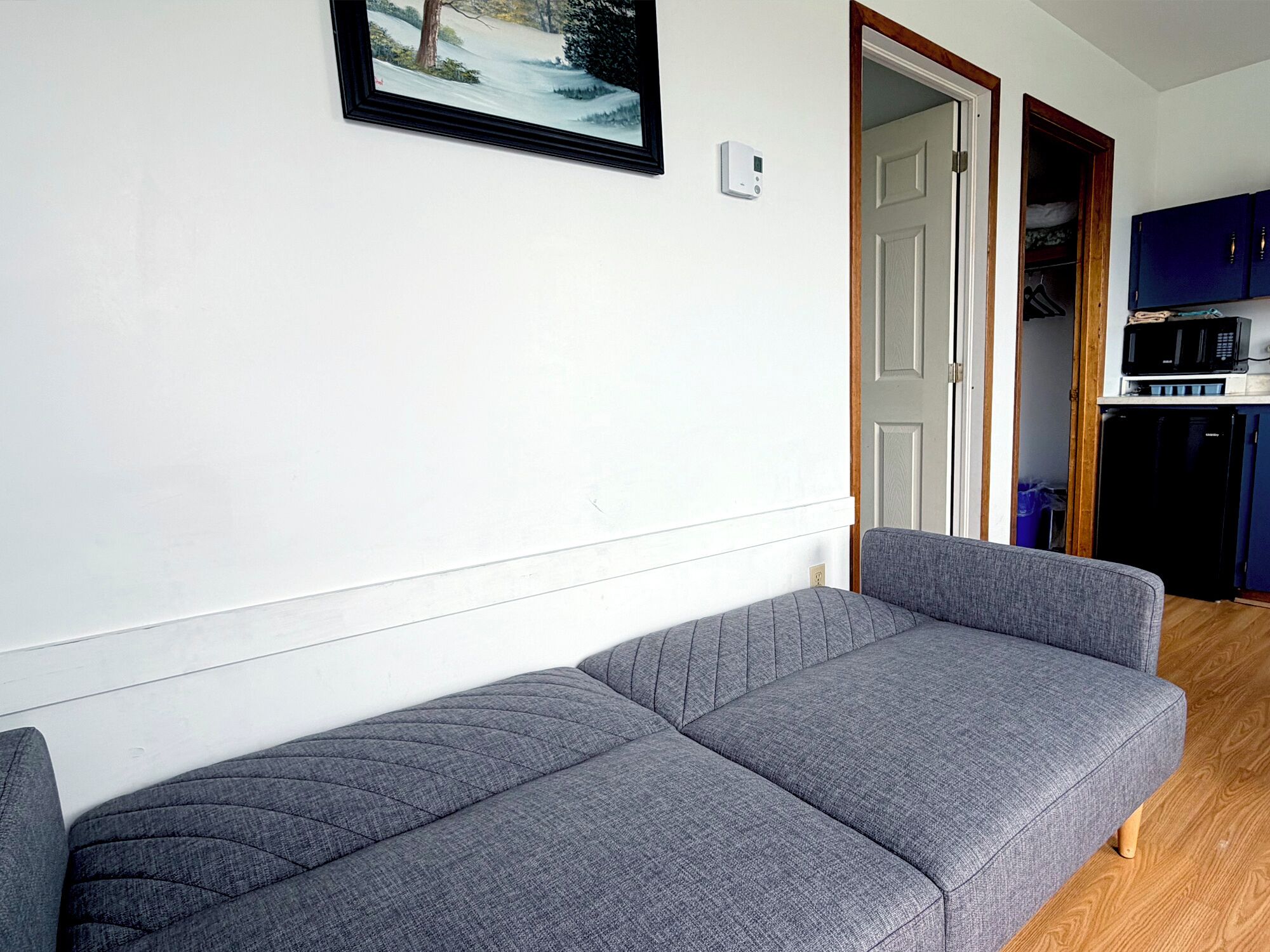A grey sofa in a room with a white wall, a door leading to a kitchen, and a framed picture above the sofa.