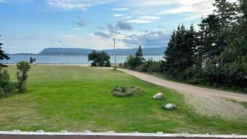 Ett grönområde med en grusväg som leder fram till en vattenyta, omgivet av träd och en klar himmel.